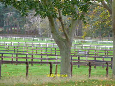 Foto 6x4 Zäune bei Bruder Marcus Gestüt Wood Farm Wolferton Wood Farm Wolfe c2014