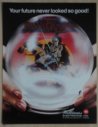 Black Knight Pinball Machine Original Flyer Rare AMOA Version Williams