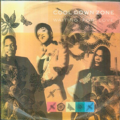 7'' Cool Down Zone/Waiting For Love (D)