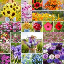 "Mixed Wildflower Seeds for Planting Attract Pollinators, 1 lb, 480,000+ 64.05 per gallon