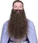 Long Fake Beard Costume for Halloween, Realistic Fake Mustache & Beard - 45cm
