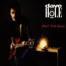 Short Fuse Blues von Dave Hole | CD | Zustand...
