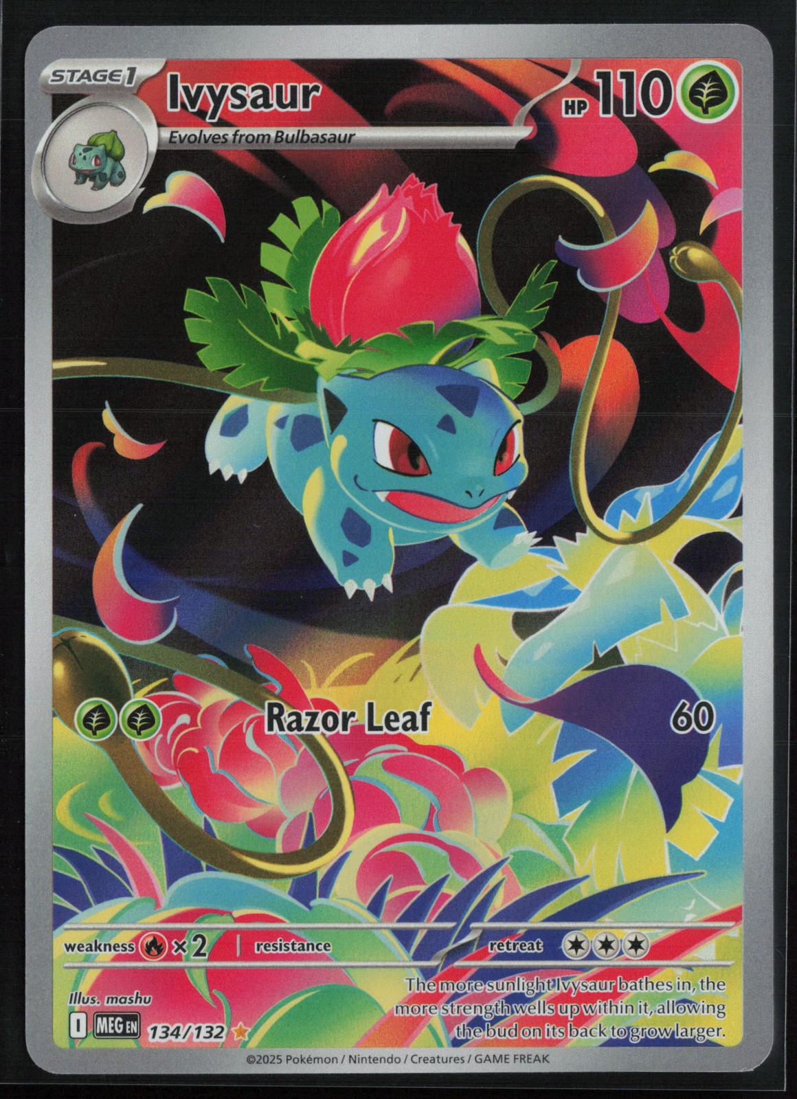 Ivysaur - 134/132 ME01: Mega Evolution LP Illustration Rare