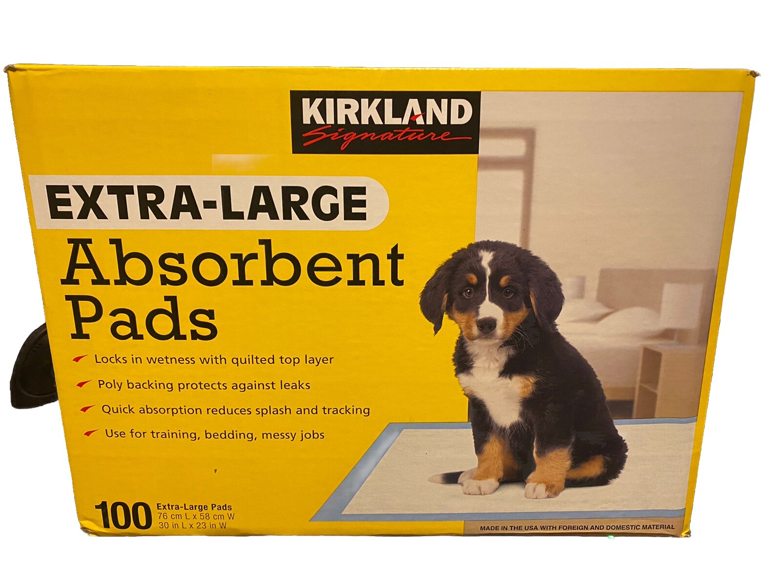Extra-Large Absorbent Pads, 100 Large Pads, 30
