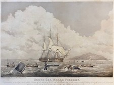 MELVILLE, MOBY DICK, SOUTH SEA WHALE FISHERY- W.J. HUGGINS, CACCIA BALENA,  1825