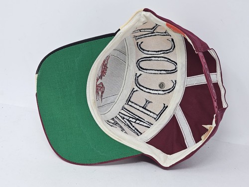 VINTAGE Carolina Gamecocks Hat Cap Snap Back Twins Enterprise Vortex Swirl Wave - Picture 9 of 9