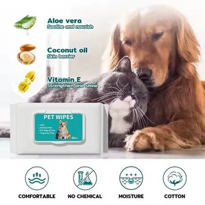 79 Boxes Pet Wipes – New & Sealed – Wholesale Bulk Lot