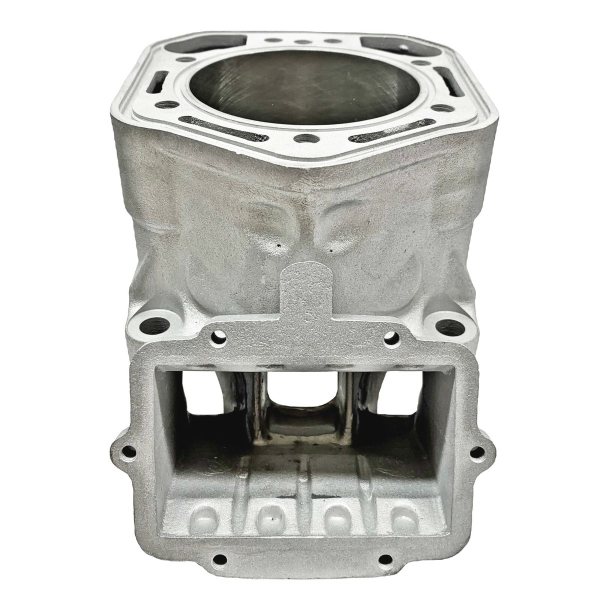 Ported Ski-Doo 800 HO REV MXZ Cylinder 2003 420923817 923817