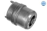 Meyle 100 199 0074 MotoraufhäNgung FüR VW