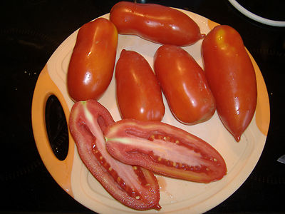 10 Tomatensamen Italienische Flaschentomaten hnl. SAN MARZANO Samen Saatgut  | eBay.de