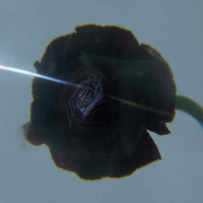 Pablo's Eye - Dark Matter (LP)
