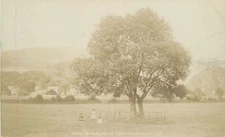 Postcard RPPC UK Gelerts Grave Beddgelert #4036 23-3986