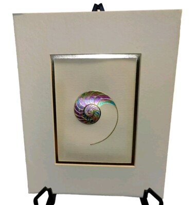 Embossed Foil Shell Art Work Nautilus FIGI Giftware Gold Rainbow Matted 