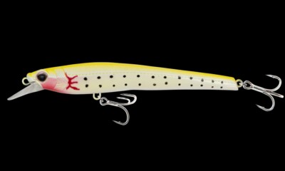 Nomad Design Shikari 145 SFLT 5-3/4'' - 1 OZ Fishing Lure