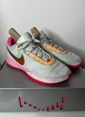 Nike LeBron 20 XX EP 'Time Machine'DJ5422-300 Men's Size 15 | eBay
