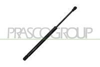 Prasco Gasfeder Heckklappen Kofferraum DäMpfer FüR VW UP 121 122 BL1 BL2 Up! 123