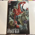 Marvel Comics: Amazing Spider-Man #13 (2025) - Amazing Visions Variant