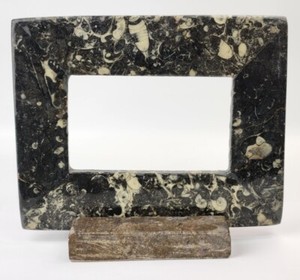 Orthoceras Fossil Picture Frame - Morocco