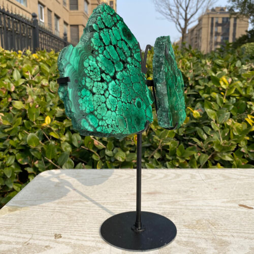 4.41LB atural malachite craft Butterfly Wing Quartz Skull Carved Crystal +stand - Picture 10 of 12