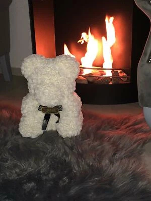 ROMEO&LOVE Valentinstag Geschenk Rosenbär 40cm Flower Rose Bear Party Teddy Wedding Party