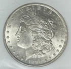 1886-O MORGAN SILVER DOLLAR ~ NGC MS 61 VAM 1A E CLASH ~NICE COIN~REF#04-014