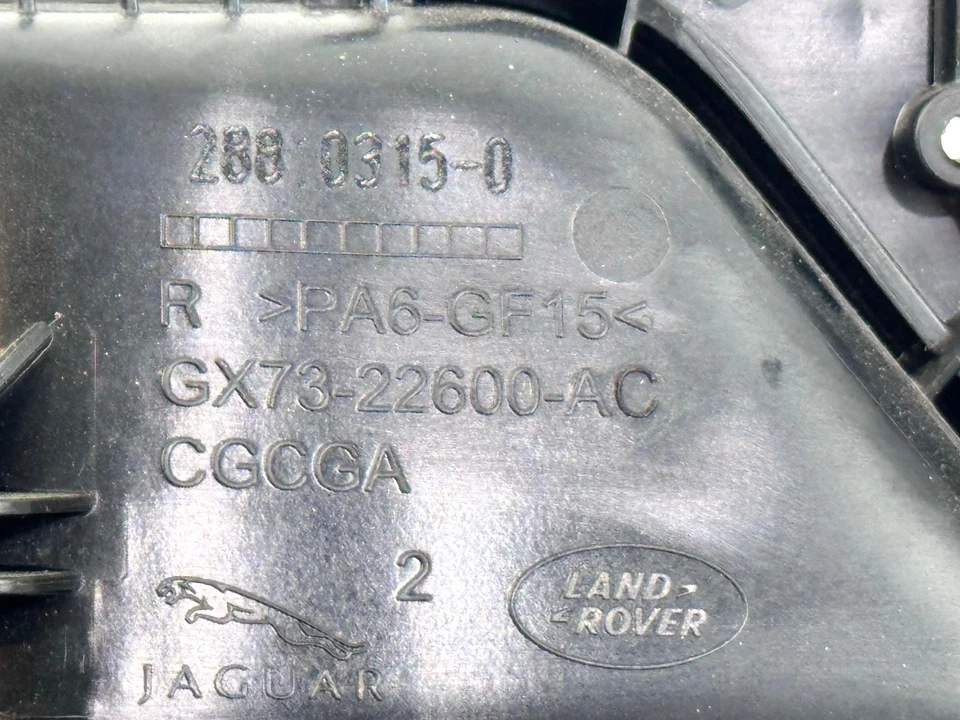 17-20 JAGUAR F-PACE TRASERO DERECHO PASO PUERTA LATERAL INTERIOR MANIJA BISEL MOLDURA OEM Foto 3 de 3