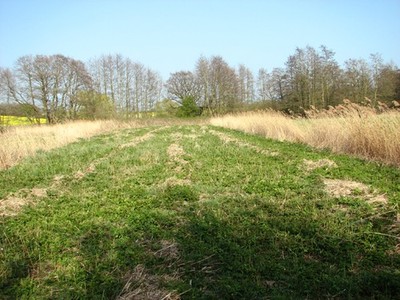 Foto 6x4 Eine Wiese am Low Common Ashby St Mary Es ist Teil der Helli c2017