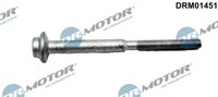 DRM01451 Dr.Motor Automotive Schraube, EinspritzdüSenhalter FüR Audi,Seat,Skoda,