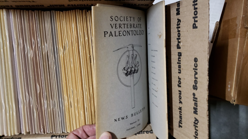 Massive Geology, Mining, Paleontology, Techtonics, etc. USGS Library Flagstaff - Picture 23 of 24