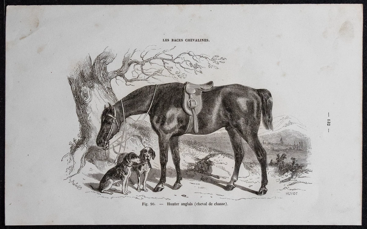 Gravure Ancienne Originale - Scène De Chasse à Courre - Aquarelle XIXème Papier