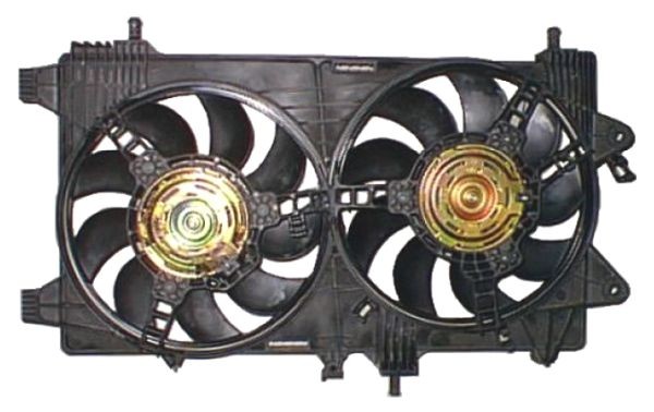 Picture 3