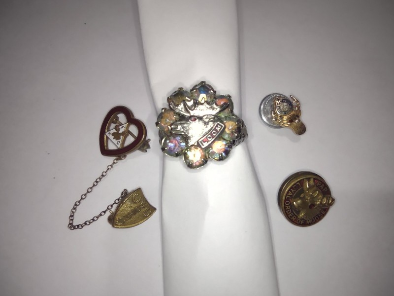 Vintage AdjustableLOOM Loyal Order of Moose Aurora Borealis Ring and Pin Lot