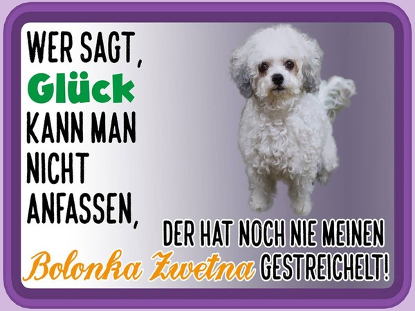 Holzschild 30X40 Cm GlüCk Anfassen Bolonka Zwetna Deko Geschenk Holz Schild-image