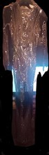Beautiful Sheer Evening Gown 