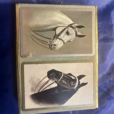 Equestrian Horse Head Dual  Deck of Congress Playing Cards