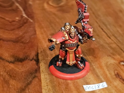 Hordas Warmachine Khador Hombre-O-Guerra Bombardier Oficial Bien Pintado MC186 - Imagen 11 de 24