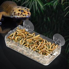 Reptile Feeder Bowl Anti-Escape Reptile Bowl Feeding Drinking Dish For Lizard