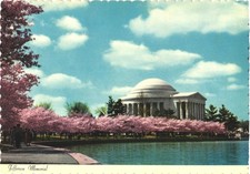 Washington D.C. Thomas Jefferson Memorial with Cherry Trees in Bloom Postcard Washington D.C. Thomas Jefferson Memorial with Cherry Trees in Bloom Postcard