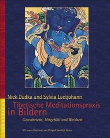 Tibetische Meditationspraxis in Bildern: Bewusstheit, We... | Buch | Zustand gut