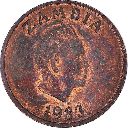 Zambia | 1 Ngwee Coin | Aardvark | Km:9A | 1982 - 1983 - Picture 4 of 8