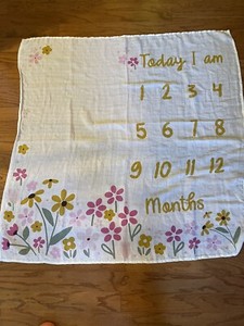 Baby Monthly Mat For Pictures 