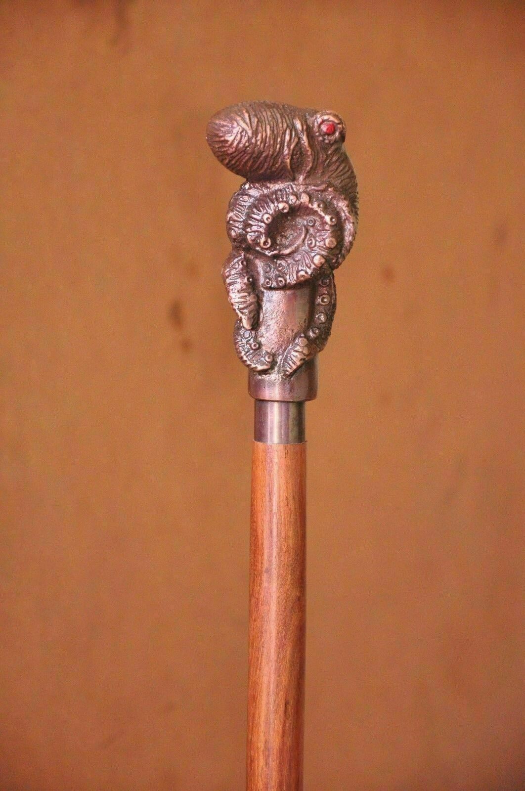 Carex Wooden Walking Cane, Round Handle Wood Cane with