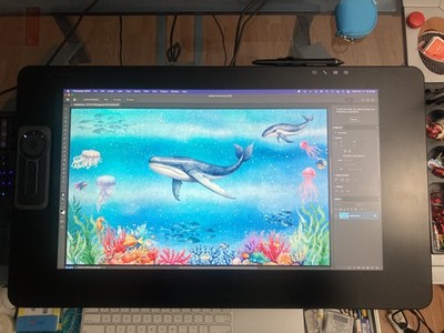 Wacom DTK2420 Cintiq Pro 24 with Loupedeck CT controller