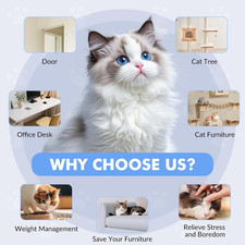 Interactive Cat Toys Indoor Cats Automatic Electric Flying Bird Feather Wand