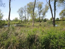 Photo A2 A pond near Iwood Brinsea A new feature on the landscape: a rou c2021