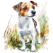 2 adesivi Jack Russell Terrier adesivi auto 9 x 9 cm cane JRT cucciolo set