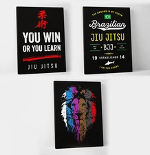 Jiu Jitsu Canvas - Set of 3 - BJJ Wall Art Color - Brazilian (18 X 24 Inches)