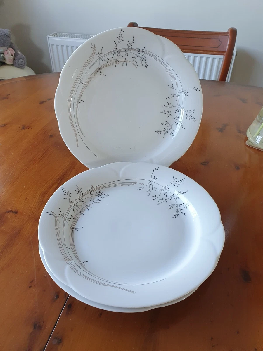 Arzberg top dinner set
