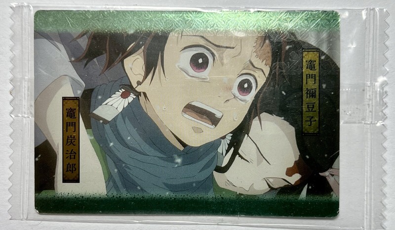 Demon Slayer KNY Anime Collectable Card New from Japan- Tanjiro Kamado