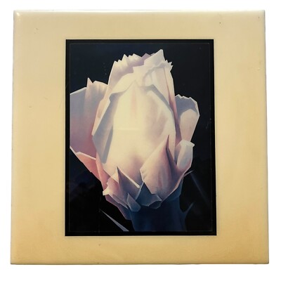 VTG White Rose Wall Art Tile Ceramic Floral Hanging Retro Home Decor 7 7/8 in